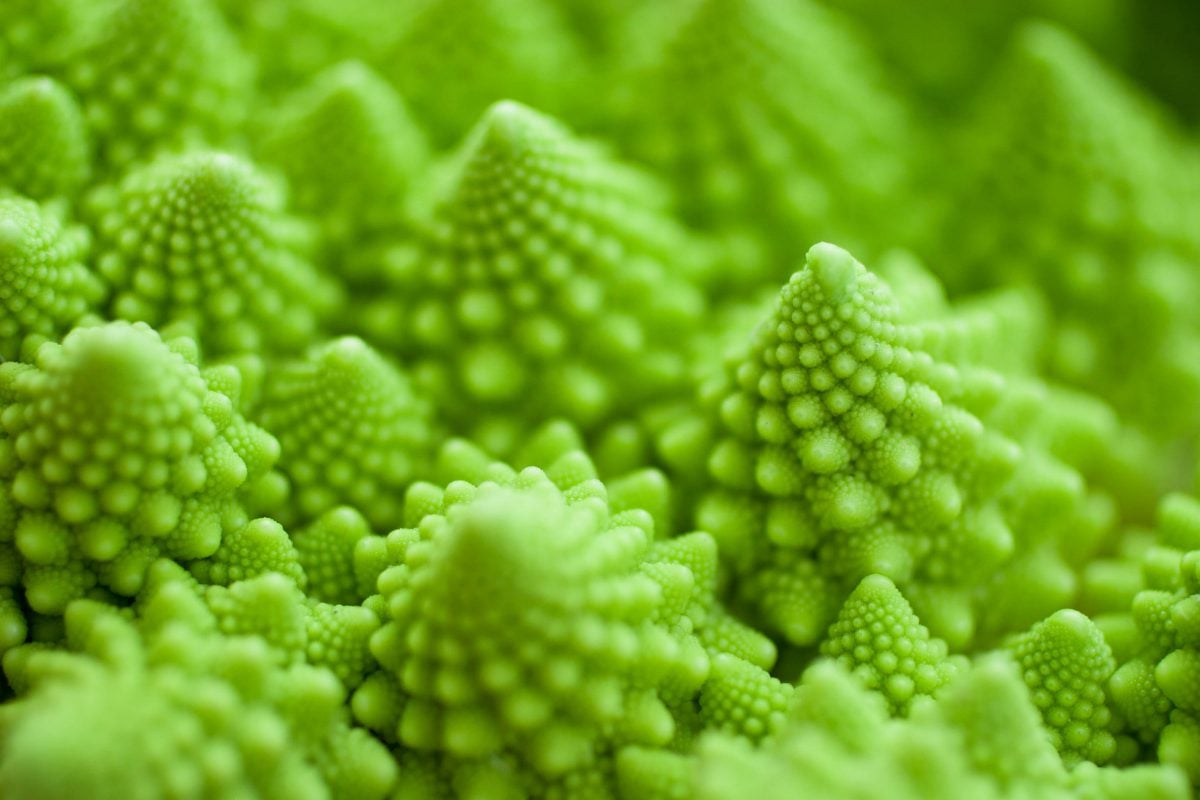 What is a Fractal? - The Ultimate Guide to Understanding Fractals