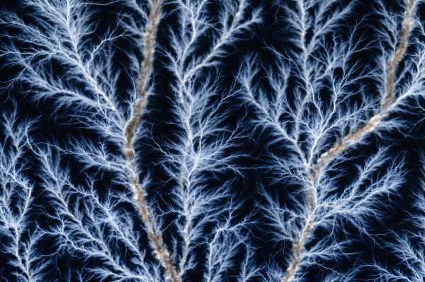 What is a Fractal? - The Ultimate Guide to Understanding Fractals